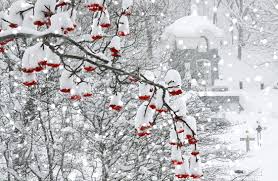 Анимационные открытки с зимним пейзажем. Открытки времена года. Новогодние от...