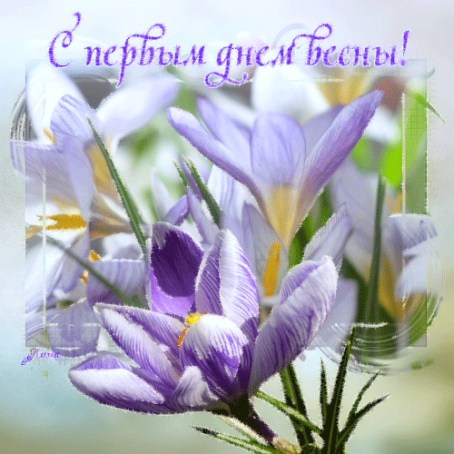 Красивые открытки с первым днем весны. Открытки с первым днем весны скачать б...
