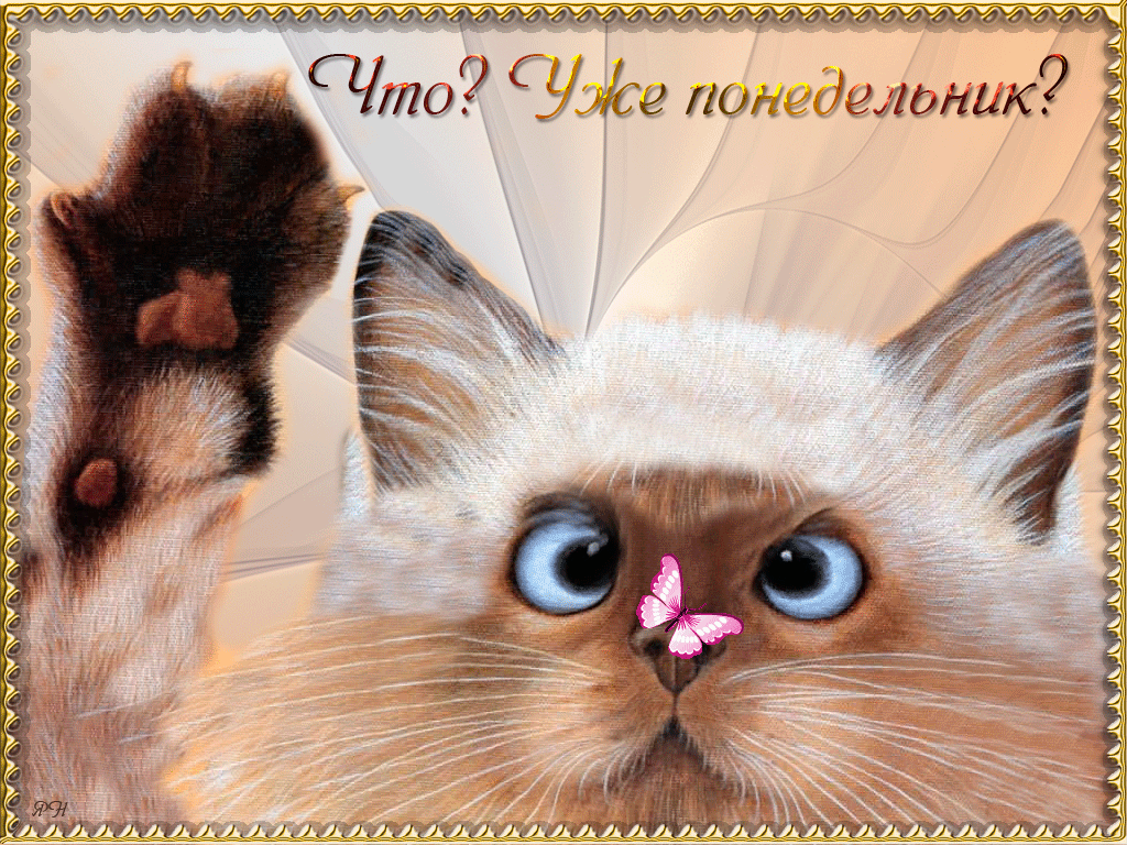 Открытки с пожеланиями легкого понедельника скачать бесплатно.