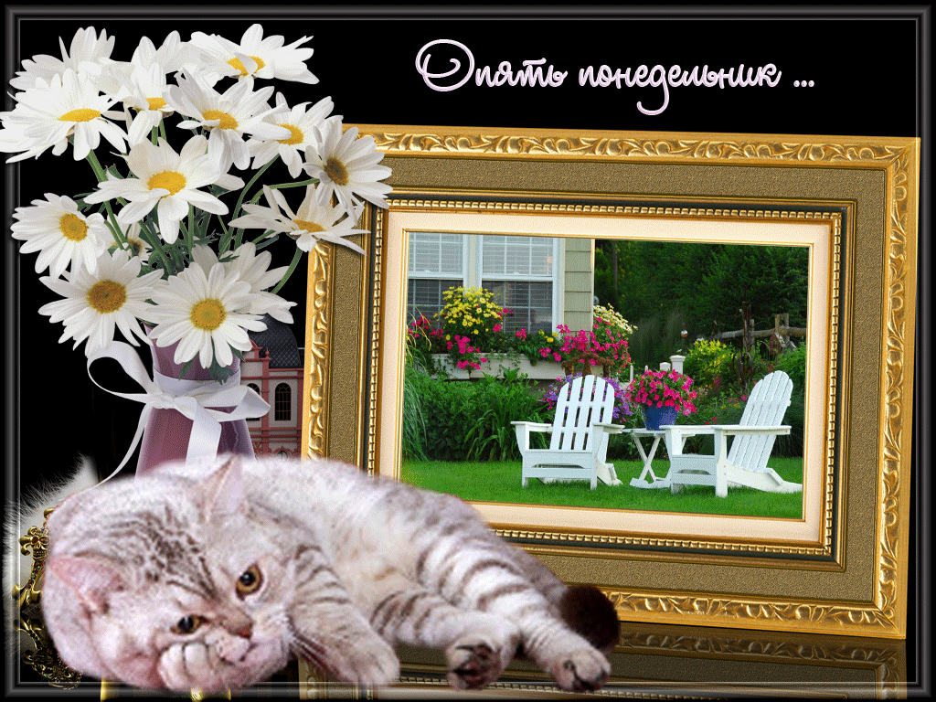 Открытки с наилучшими пожеланиями на понедельник. Открытки на понедельник ска...