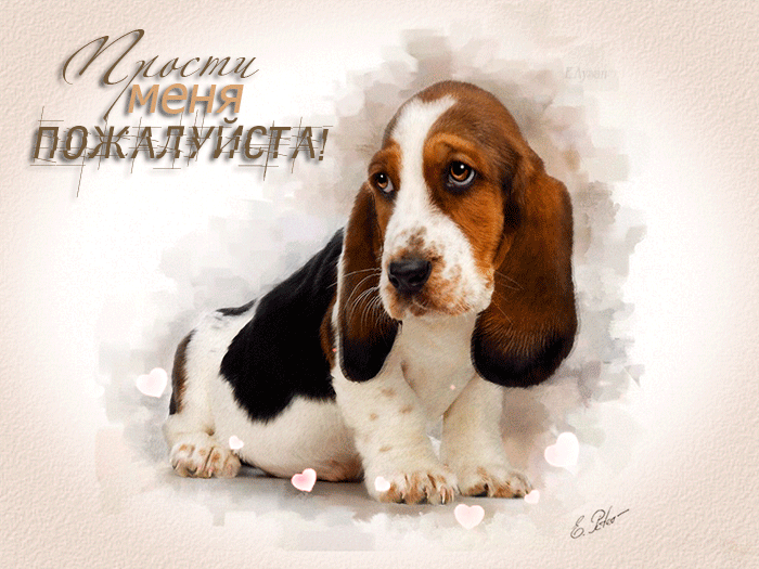 Красивые открытки с извинениями скачать бесплатно. Открытки прости меня gif.