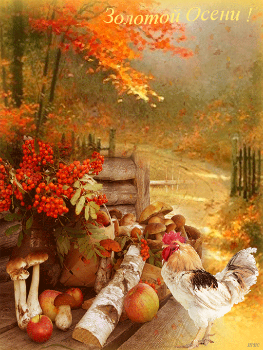 Чудесные открытки на тему Золотая Осень скачать бесплатно gif.