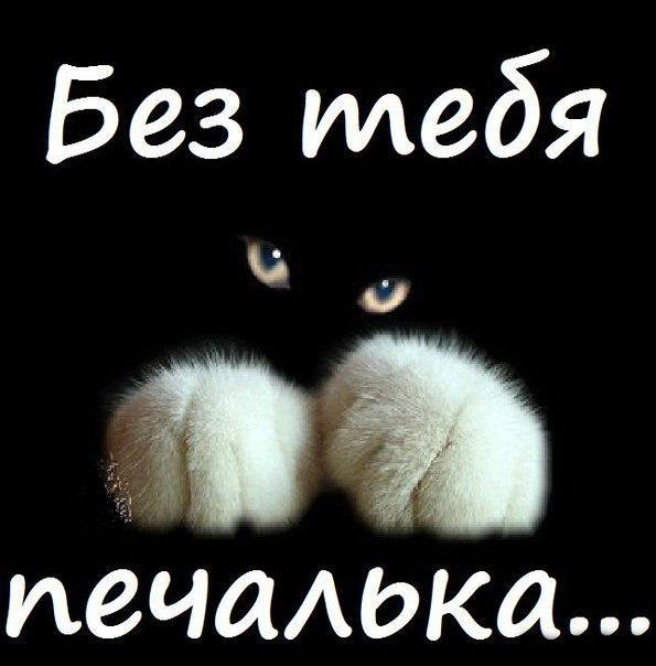 Анимационные открытки скучаю по тебе. Открытки я так скучаю скачать бесплатно.