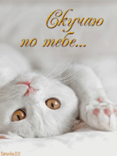 Анимационные открытки скучаю по тебе. Открытки я так скучаю скачать бесплатно.