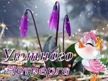 Открытки отличного четверга скачать бесплатно. Прикольные открытки на четверг...