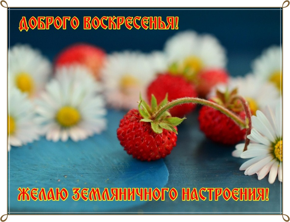 Мерцающие открытки про воскресенье. Открытки на воскресное утро.