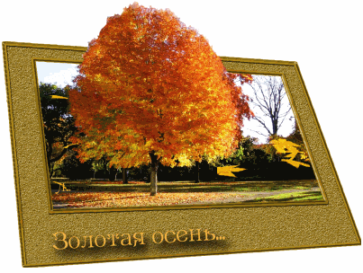 Чудесные открытки на тему Золотая Осень скачать бесплатно gif.
