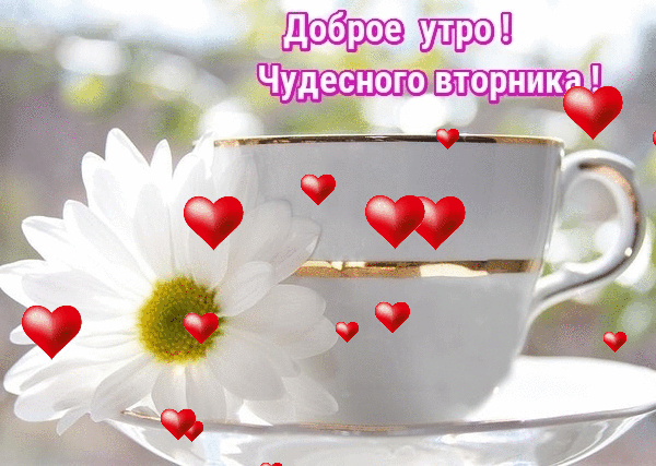 Позитивные открытки на вторник. Картинки про вторник скачать бесплатно.