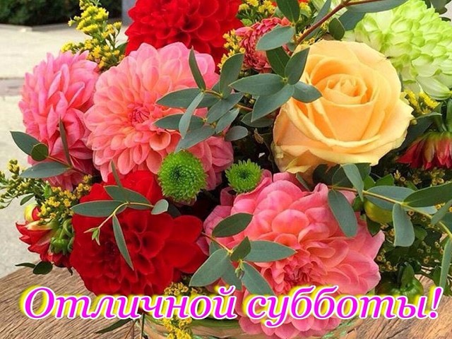 Интересные открытки на субботу. Веселые открытки на выходные.