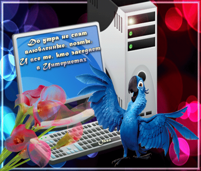 Поздравления с днем интернета. Открытки с днем интернета скачать бесплатно.