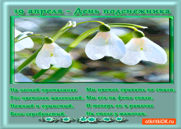 Открытки Красивые открытки с днем подснежника. Открытки с днем подснежников скачать бесплатно.  Открытки с днем подснежника скачать бесплатно. Красивые открытки на день подснежника. Анимационные открытки на праздники. Поздравительные открытки на день подснежника.