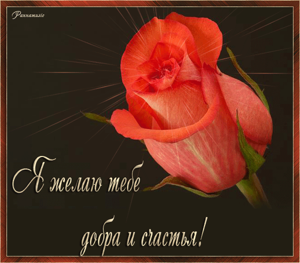 Скачать бесплатно открытки с пожеланиями счастья. Мерцающие открытки желаю сч...