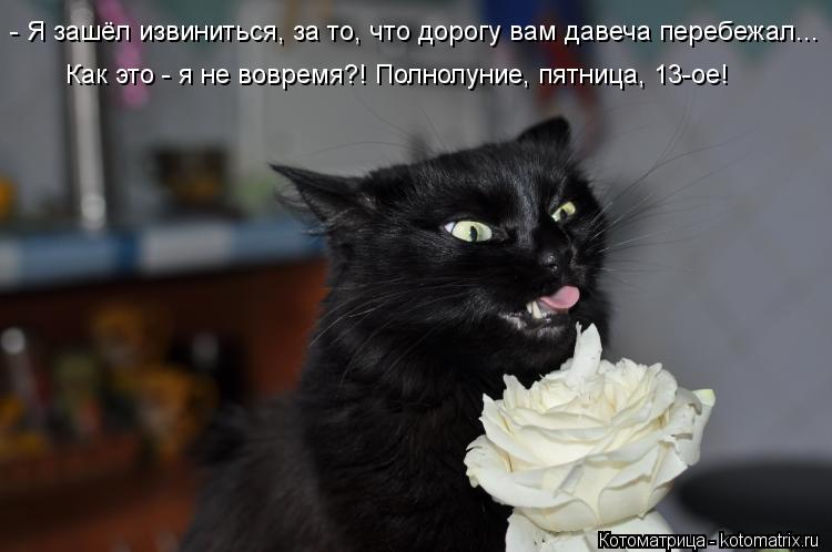 Разнообразные открытки на пятницу 13. Открытки с пятницей 13 скачать бесплатно.