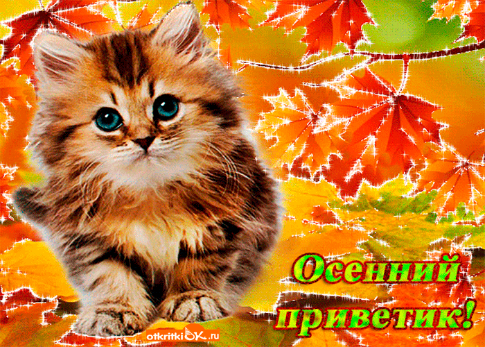 Красивые анимационные открытки на первый день осени скачать бесплатно