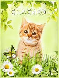 Анимационные открытки с благодарностью. Открытки спасибо скачать бесплатно.