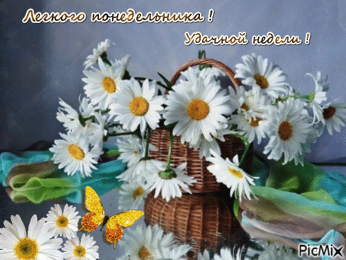 Открытки с наилучшими пожеланиями на понедельник. Открытки на понедельник ска...