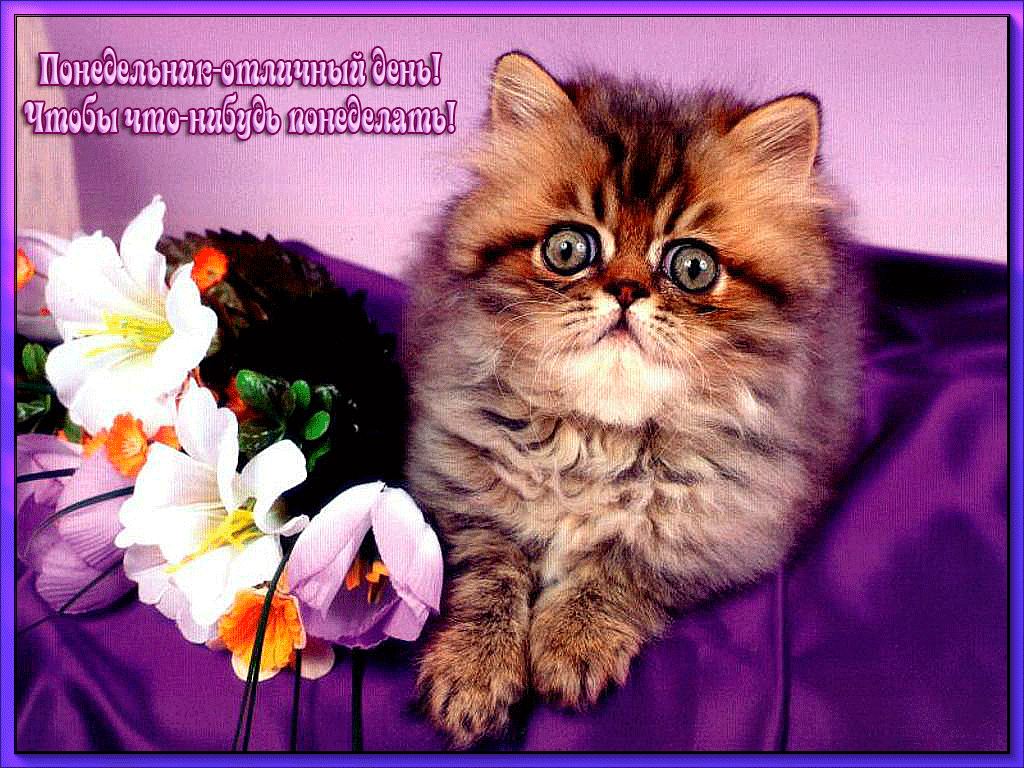 Открытки с пожеланиями легкого понедельника скачать бесплатно.