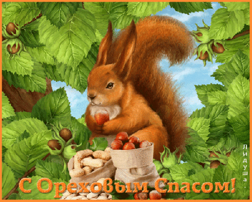 Оригинальные открытки с поздравлениями на Ореховый Спас скачать бесплатно.