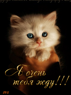 Открытки я жду тебя gif. Открытки возвращайся скорее скачать бесплатно.