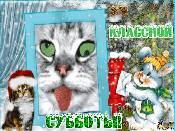 Интересные открытки на субботу. Веселые открытки на выходные.