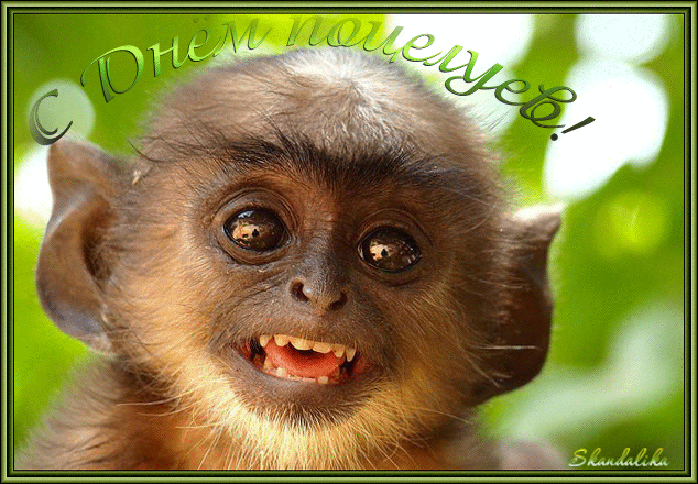 Красивые мерцающие открытки с днем поцелуя с анимациями скачать бесплатно.