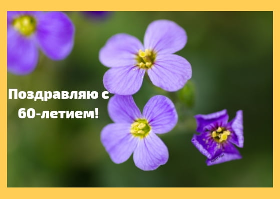 Поздравительные открытки на день рождения 60 лет скачать бесплатно. Красивые ...