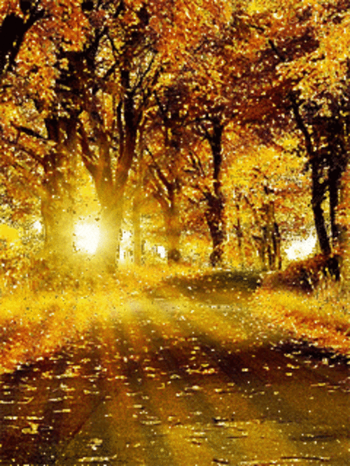 Оригинальные открытки с изображением осени. Открытки осень скачать бесплатно.