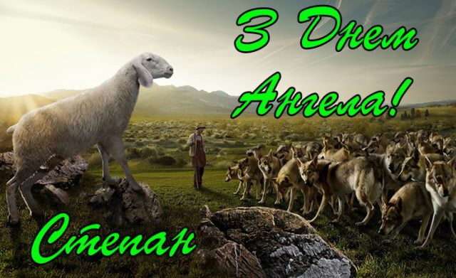 Открытки с мужскими именами. Открытки с именем Степан с поздравлениями. С днё...