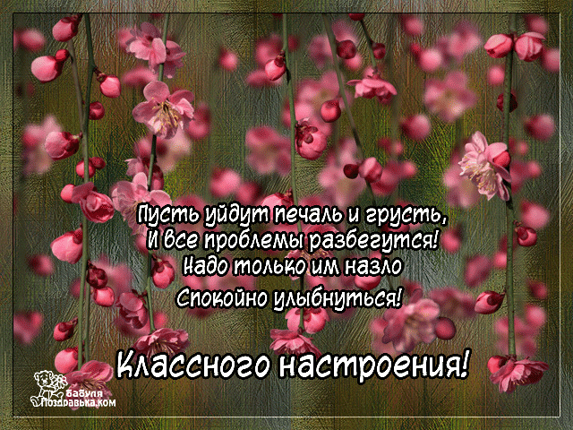 Позитивные открытки с пожеланиями хорошего настроения скачать бесплатно.