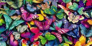 Мерцающие открытки с бабочками. Открытки с красивыми бабочками скачать беспла...