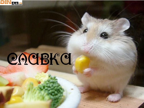 Открытки с именем Вячеслав скачать бесплатно. Открытки с днём рождения Слава. 