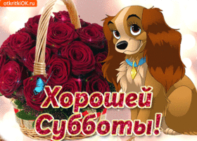 Интересные открытки на субботу. Веселые открытки на выходные.