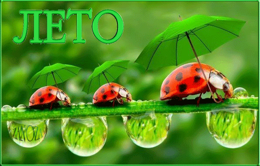 Открытки на тему осени скачать бесплатно. Анимационные открытки про лето.