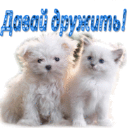 Красивые анимационные открытки давай дружить скачать бесплатно.