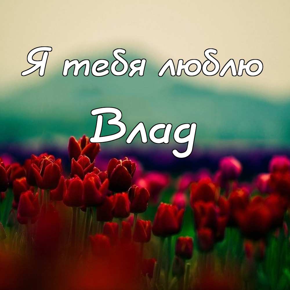 Поздравительные открытки с мужскими именами. Открытки с именем Владислав скач...