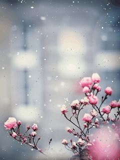 Анимационные открытки с зимним пейзажем. Открытки времена года. Новогодние от...