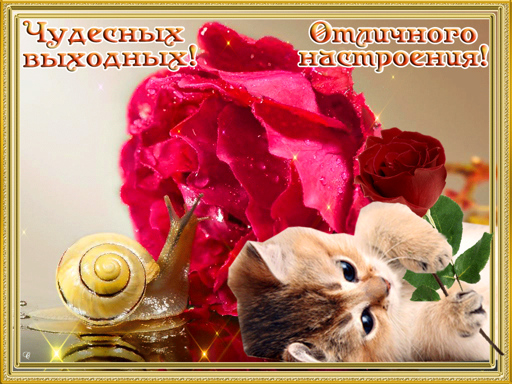 Красивые открытки замечательных выходных. Открытки хороших выходных скачать б...