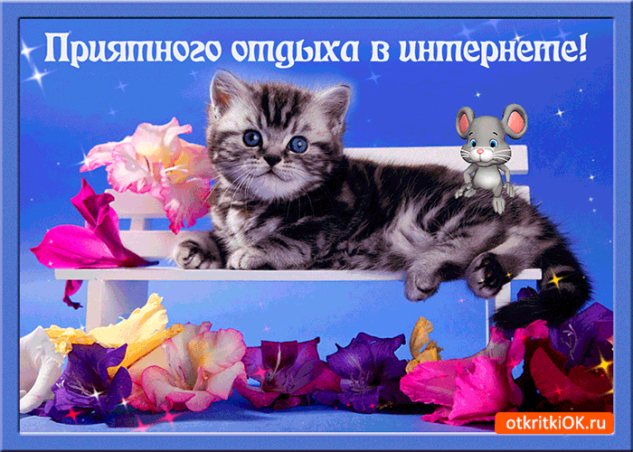 Хорошего времяпровождения картинки