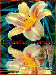 Анимационные открытки приятного вечера. Скачать бесплатно открытки хорошего в...