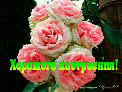 Позитивные открытки с пожеланиями хорошего настроения скачать бесплатно.