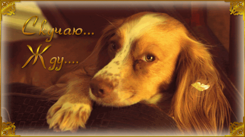 Анимационные открытки скучаю по тебе. Открытки я так скучаю скачать бесплатно.