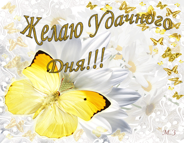 Открытки желаю удачи скачать бесплатно. Красивые открытки с пожеланиями удачи.