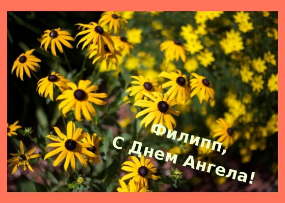 Красивые открытки с мужскими именами. С днём рождения Филипп открытки. Открыт...