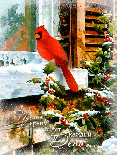 Открытки с пожеланиями хорошего дня. Скачать бесплатно открытки удачного дня.