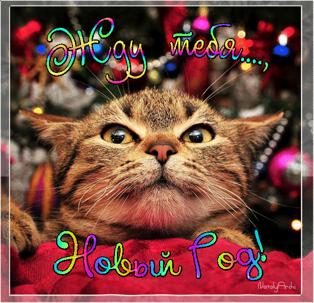 Открытки я жду тебя gif. Открытки возвращайся скорее скачать бесплатно.