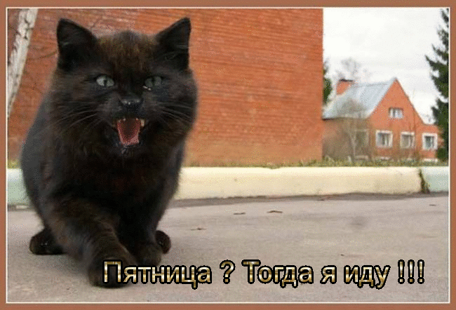 Прикольные открытки на пятницу. Открытки с пожеланиями на пятницу скачать бес...