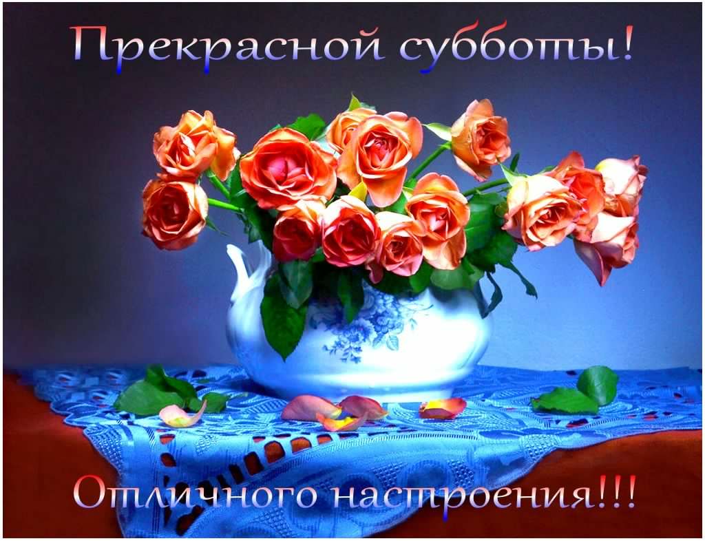 Интересные открытки на субботу. Веселые открытки на выходные.