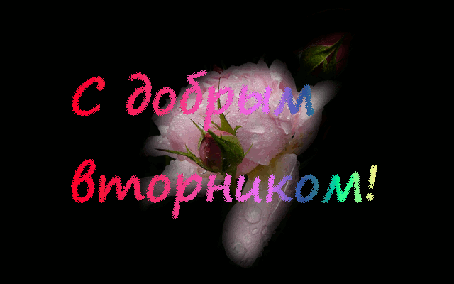 Позитивные открытки на вторник. Картинки про вторник скачать бесплатно.