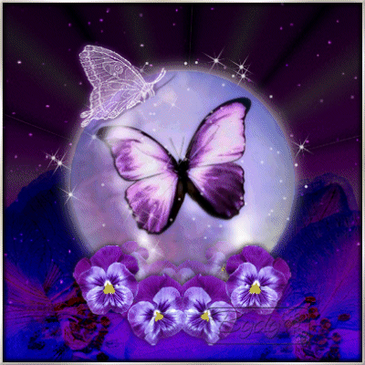 Мерцающие открытки с бабочками. Открытки с красивыми бабочками скачать беспла...