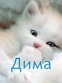 Открытки с именем Дмитрий скачать бесплатно. Анимационные открытки с именем Д...